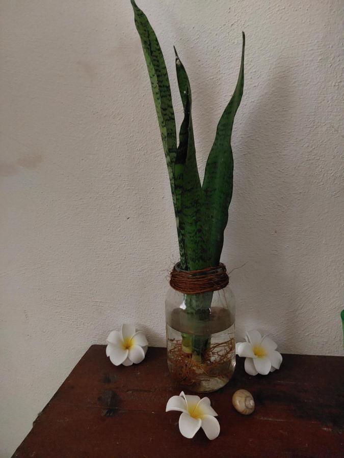 Casa De Viajeros Apartment บากาลาร์ ภายนอก รูปภาพ
